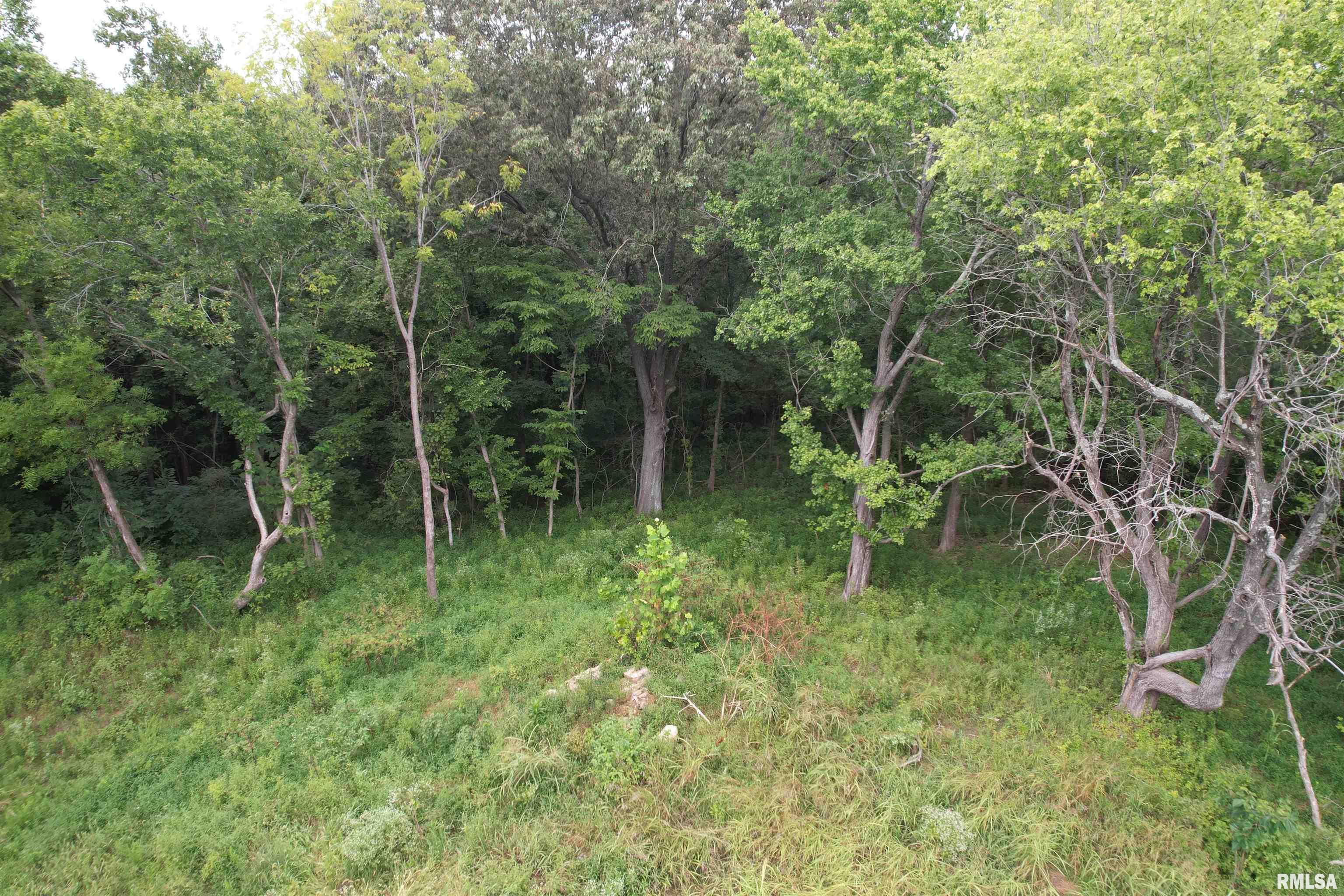 4576 Benton Road Metropolis, IL 62960 - Photo 3 of 14