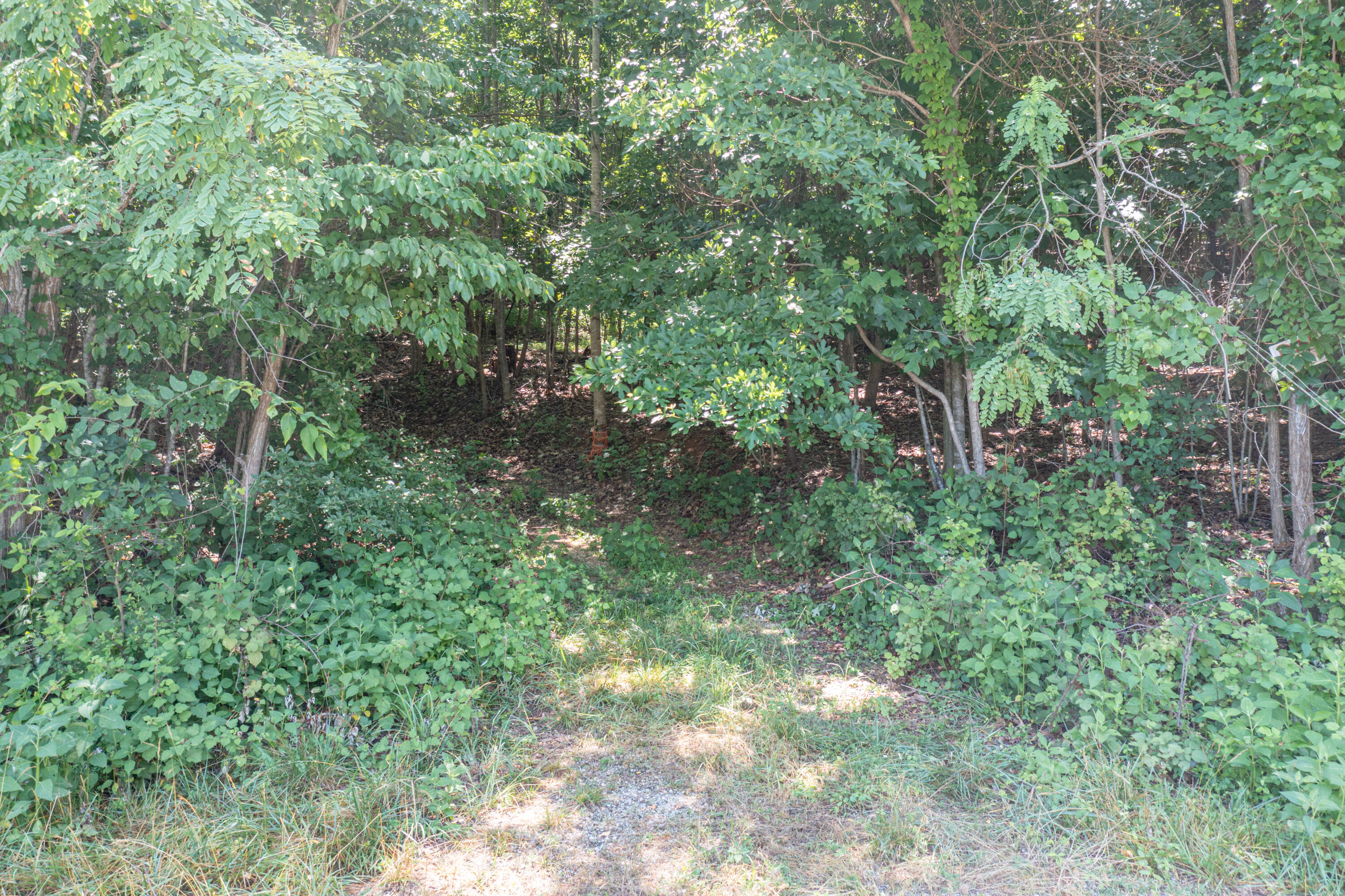 0 Bobletts Gap Road Buchanan, VA 24066 - Photo 3 of 4 Land