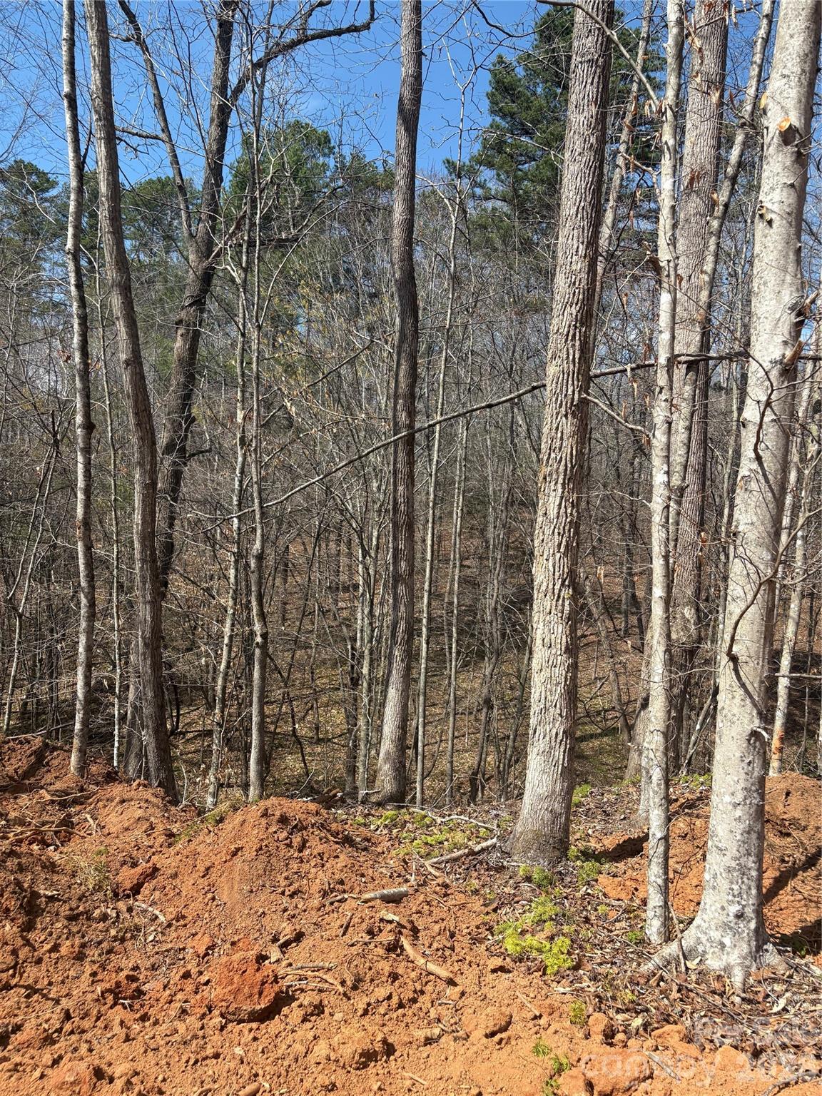 Tbd Avenida De Oro Road, Unit 3 2 Morganton, NC 28655 - Photo 4 of 4 a backyard of a house with lots of green space