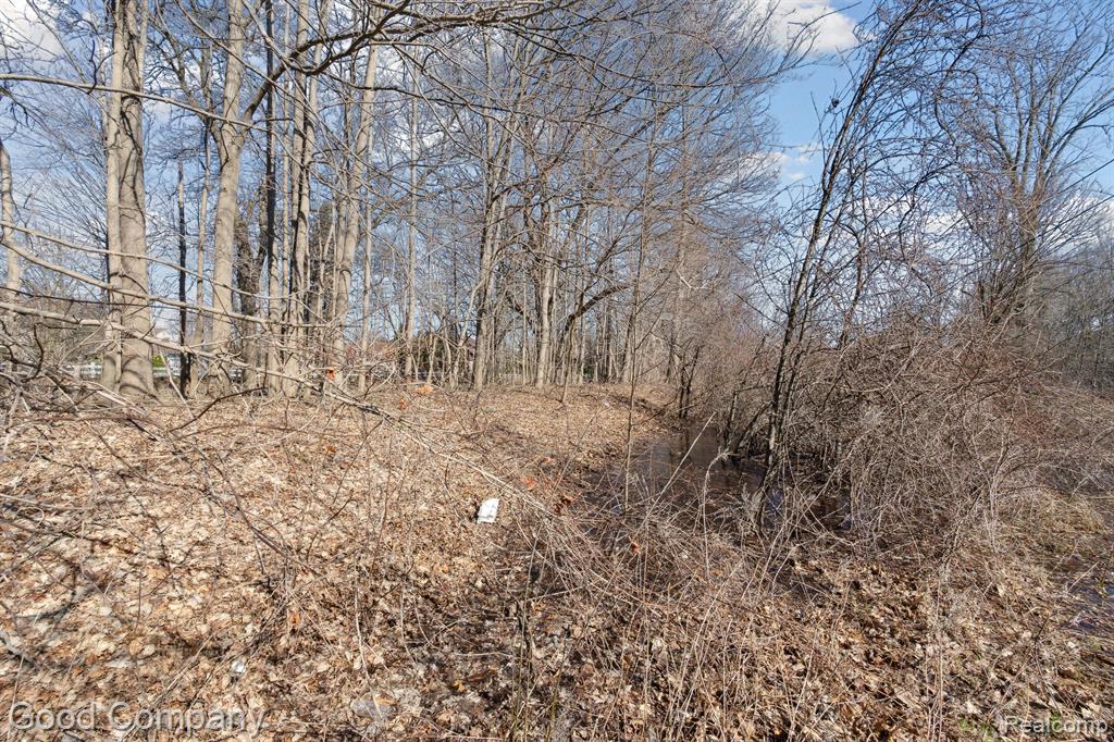 0 Orion Road Lake Orion, MI 48362 - Photo 7 of 13
