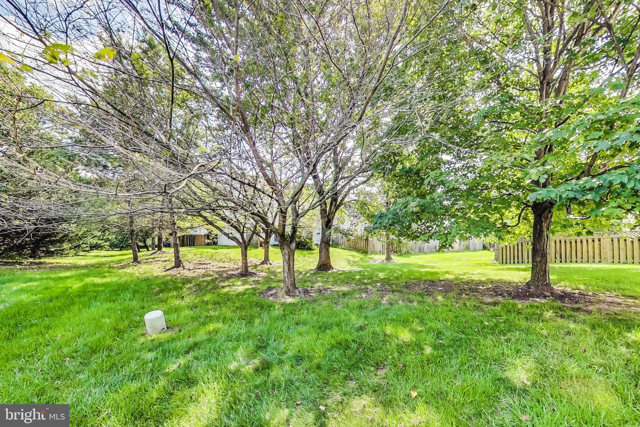 12517 Fox View Way Reston, VA 20191 - Photo 59 of 62