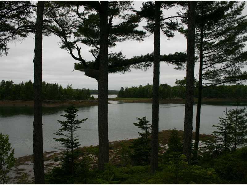 3 Morang Cove Road Lubec, ME 04652 - Photo 23 of 33 View.
