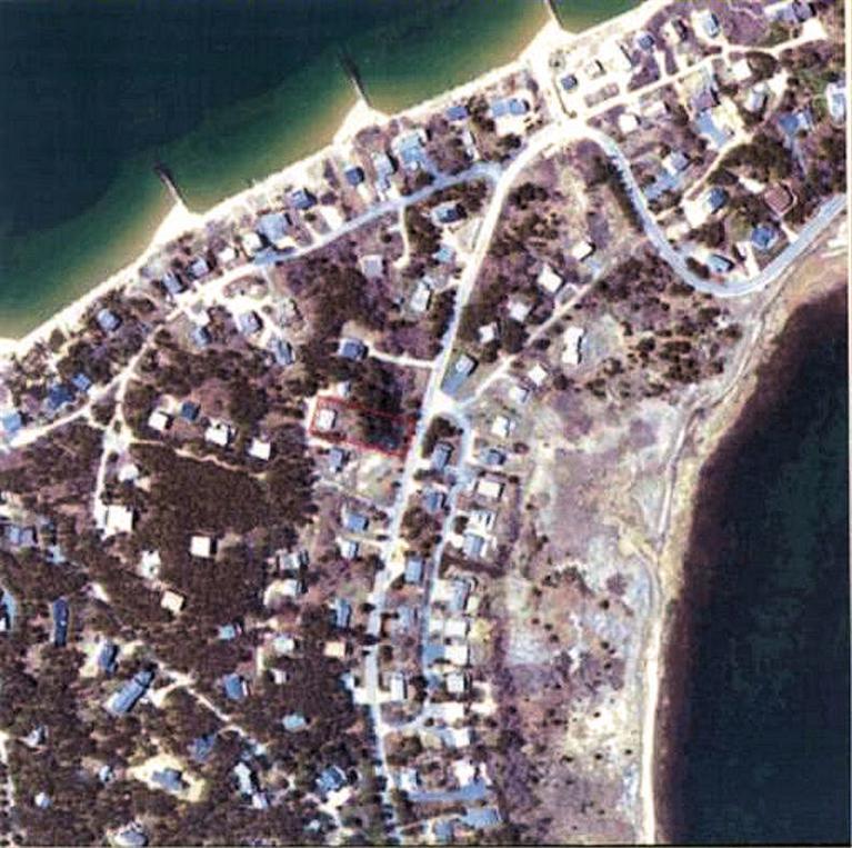 a close up of a plant