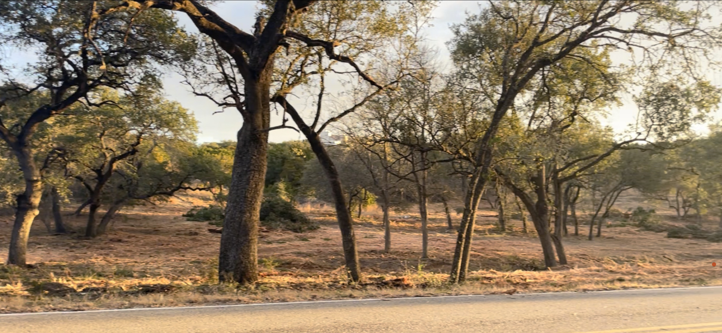 19732 Thurman Bend Road Spicewood, TX 78669 - Photo 2 of 2 a view of a forest covered with trees