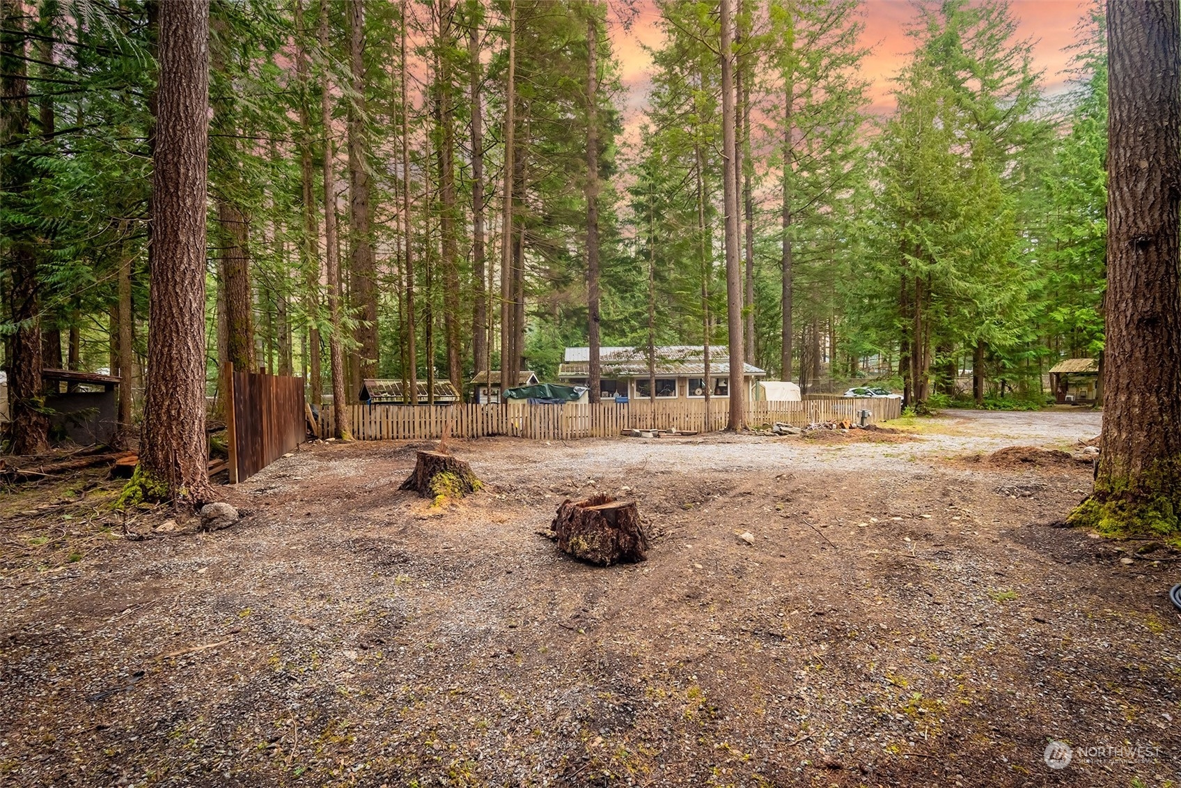 1176 Exit Road Maple Falls, WA 98266 - Photo 2 of 15 a row of trees with some trees