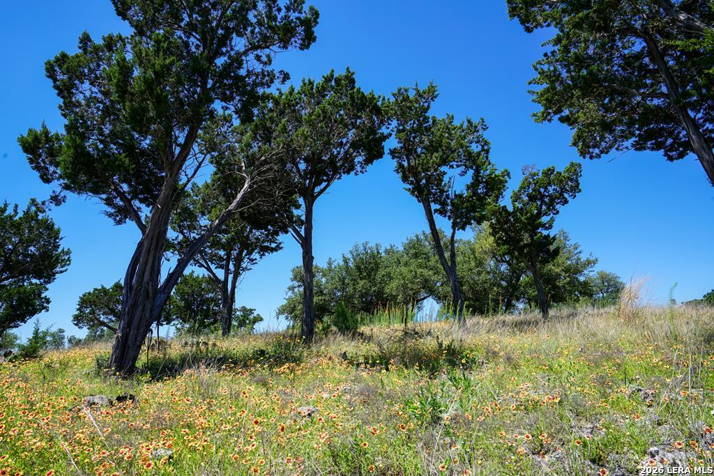 204 Wilson Rand Road Hunt, TX 78024 - Photo 7 of 46