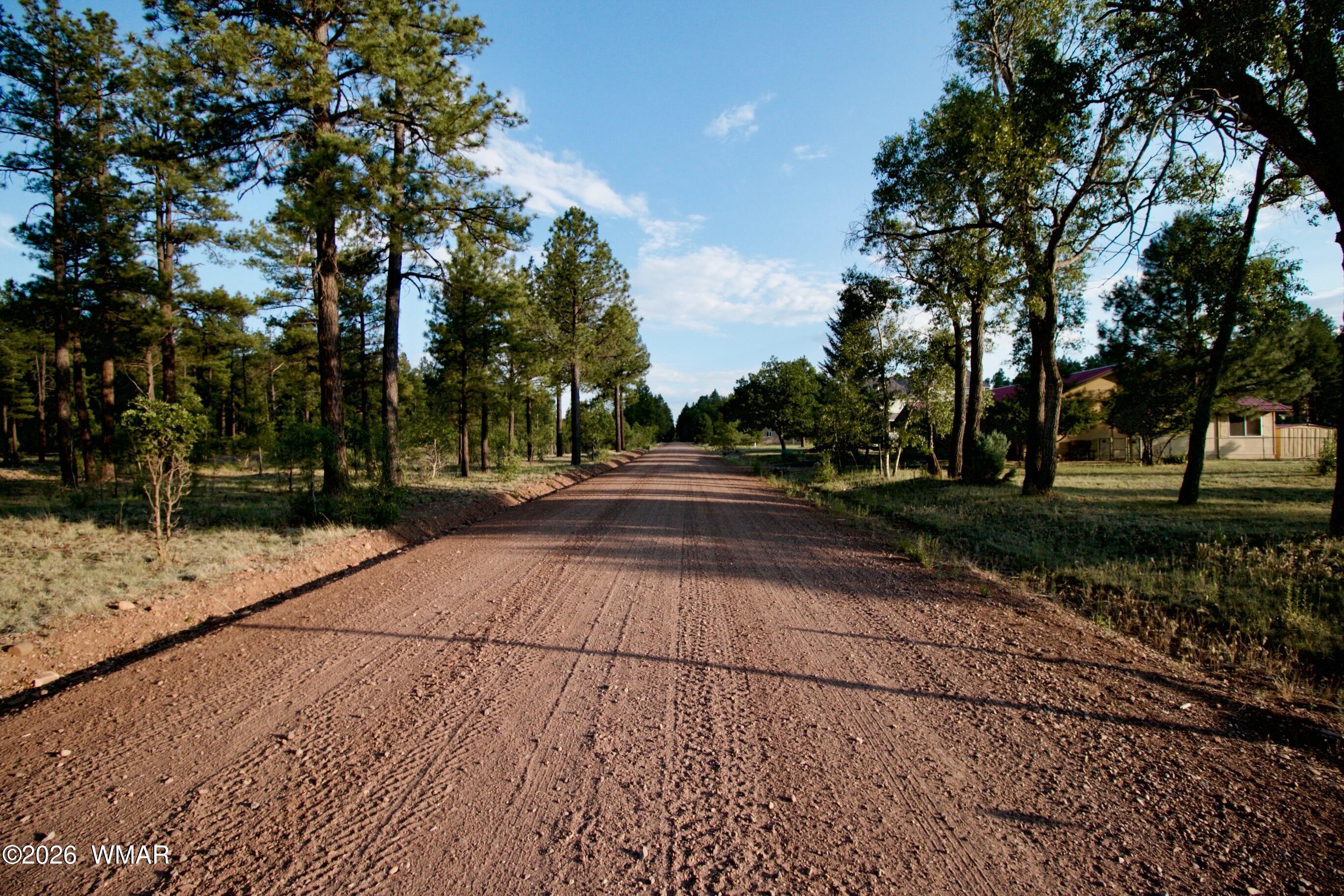 552 Rim Drive Pinedale, AZ 85934 - Photo 40 of 46