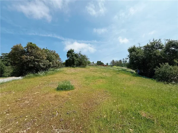 a view of yard with swimming pool and green space