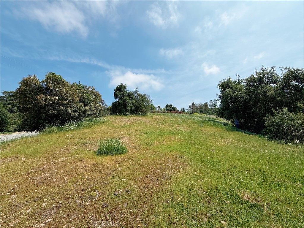 1826 Bluebird Road Glendora, CA 91741 - Photo 1 of 11 a view of yard with swimming pool and green space