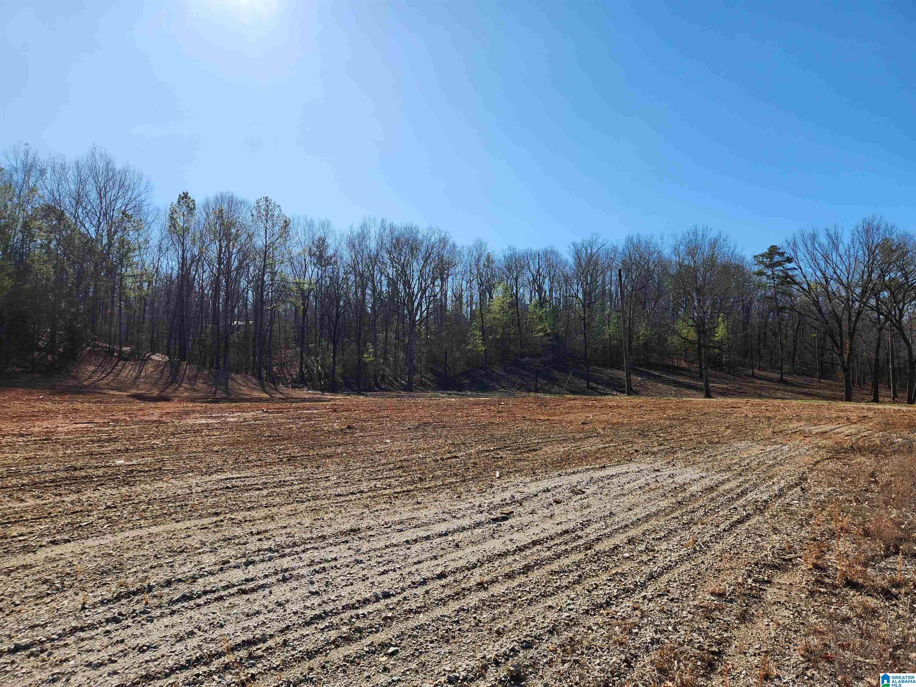 0 Spring Creek Road, Unit 3 Columbiana, AL 35051 - Photo 14 of 14