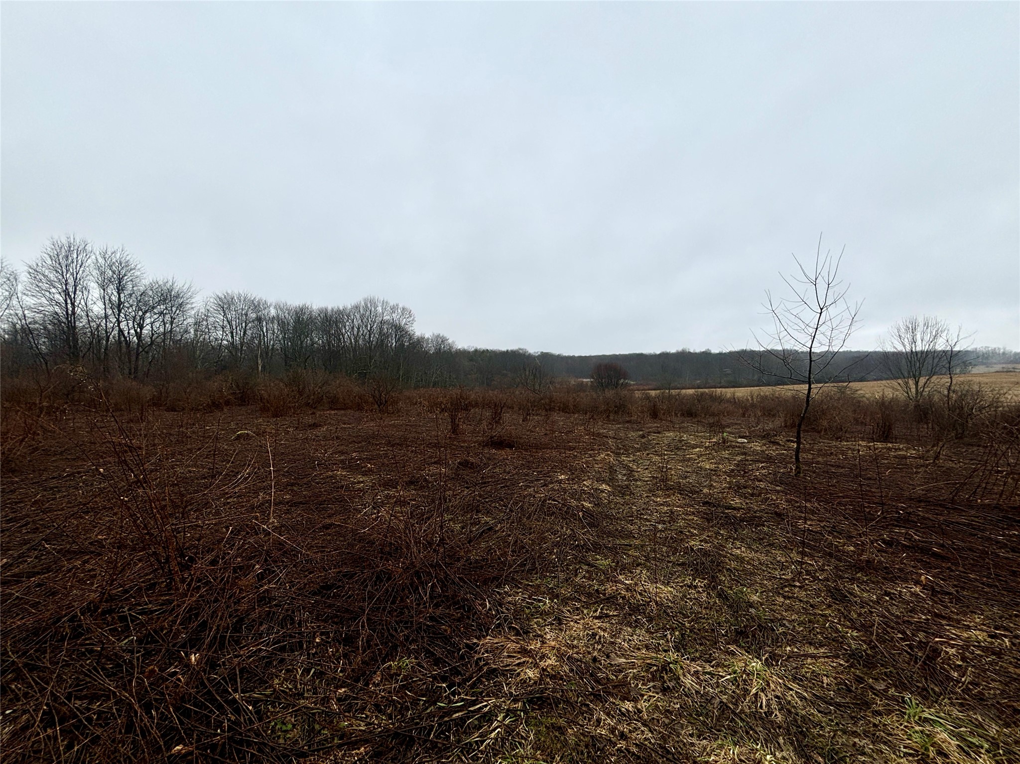 0 Inlet Road Conneautville, PA 16406 - Photo 2 of 13 Gallery Image 2