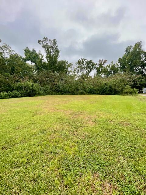 3573 State Rd S-10-1632 Johns Island, SC 29455 - Photo 3 of 13 View of back yard