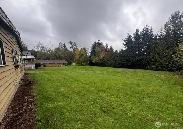a view of a backyard with sitting area and tree
