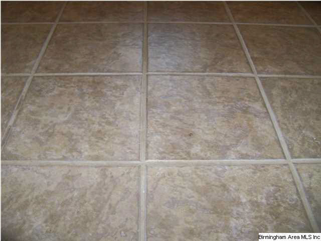 1072 Springfield Drive Chelsea, AL 35043 - Photo 4 of 27