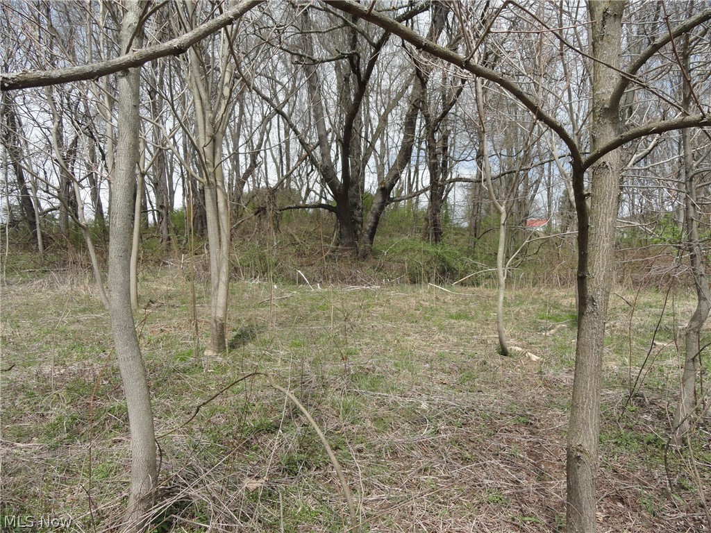 Johnsonville Road Chester, WV 26034 - Photo 4 of 20 Gallery Image 4