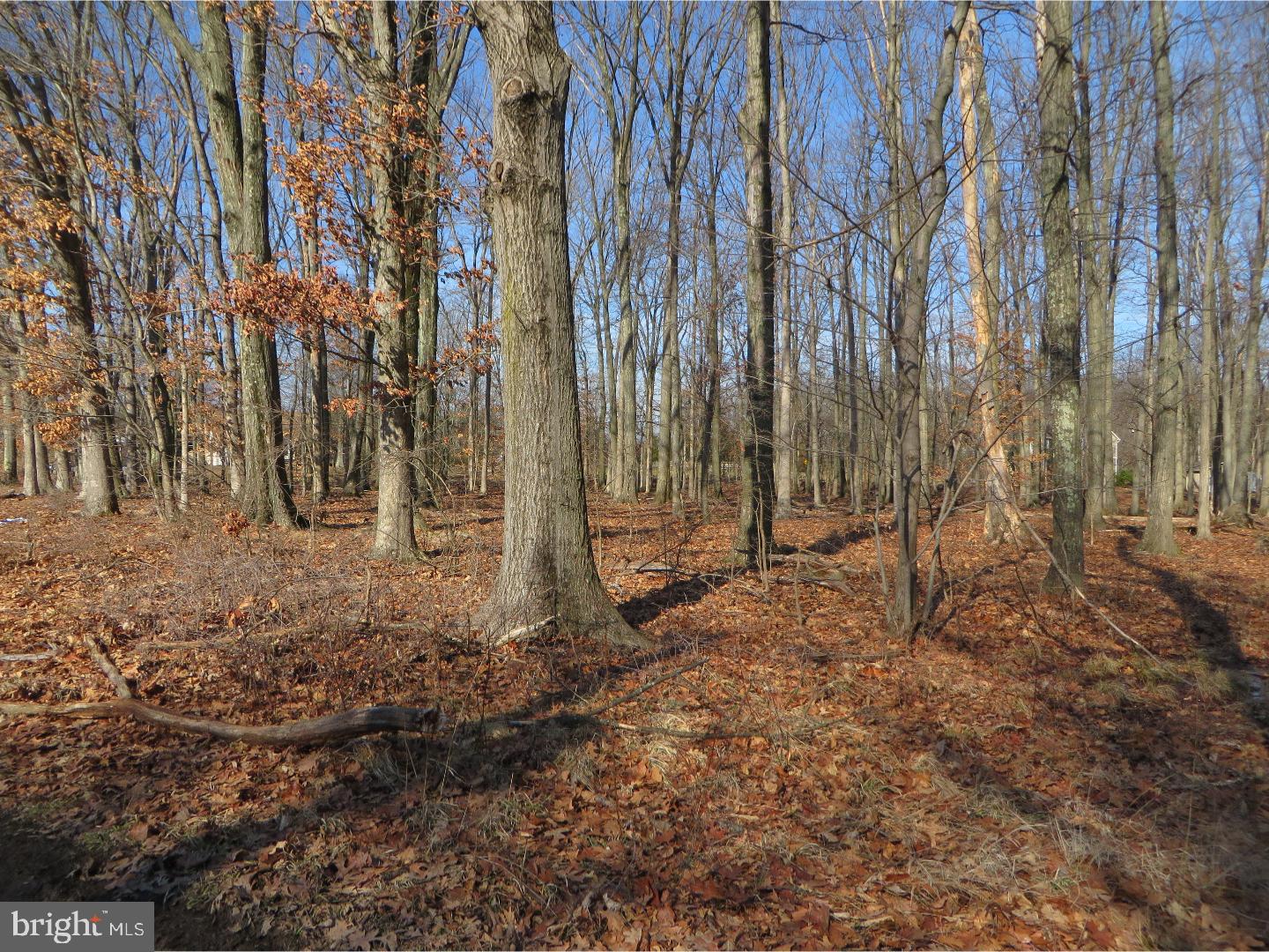 694 Apple Road Quakertown, PA 18951 - Photo 2 of 12 Gallery Image 2