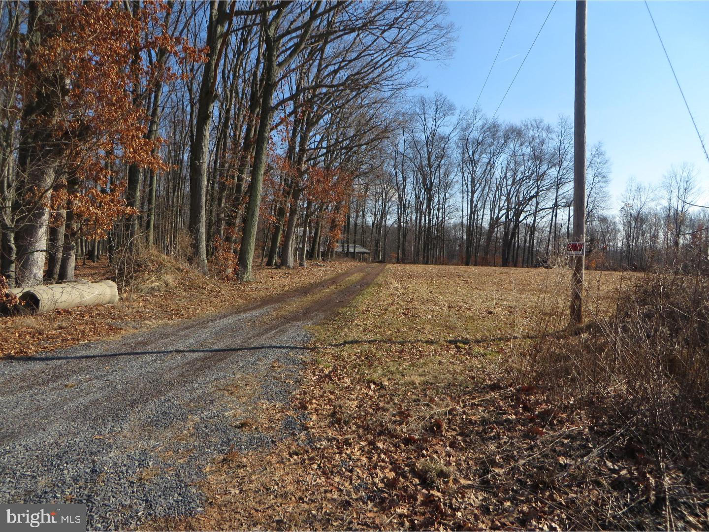 694 Apple Road Quakertown, PA 18951 - Photo 5 of 12 Gallery Image 5