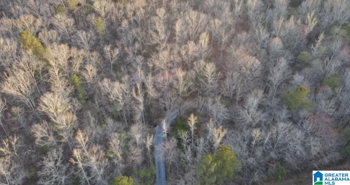 1837 Westover Road Sterrett, AL 35147 - Photo 12 of 14