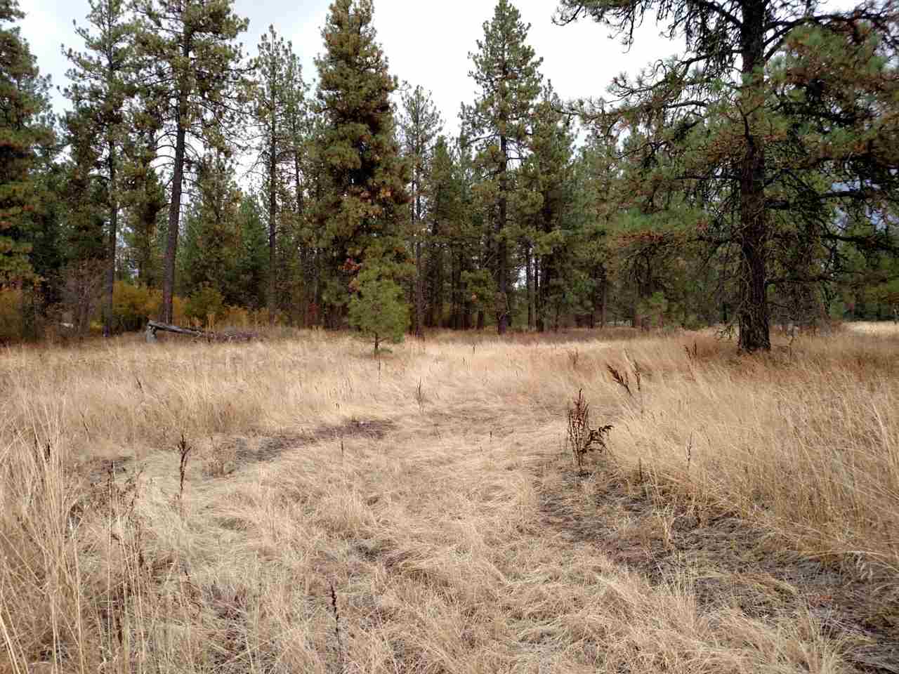 0 Salnave Road Cheney, WA 99004 - Photo 1 of 13
