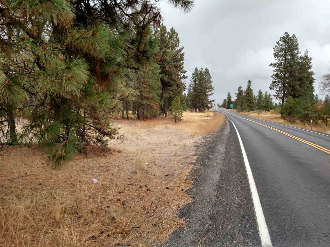 0 Salnave Road Cheney, WA 99004 - Photo 2 of 13