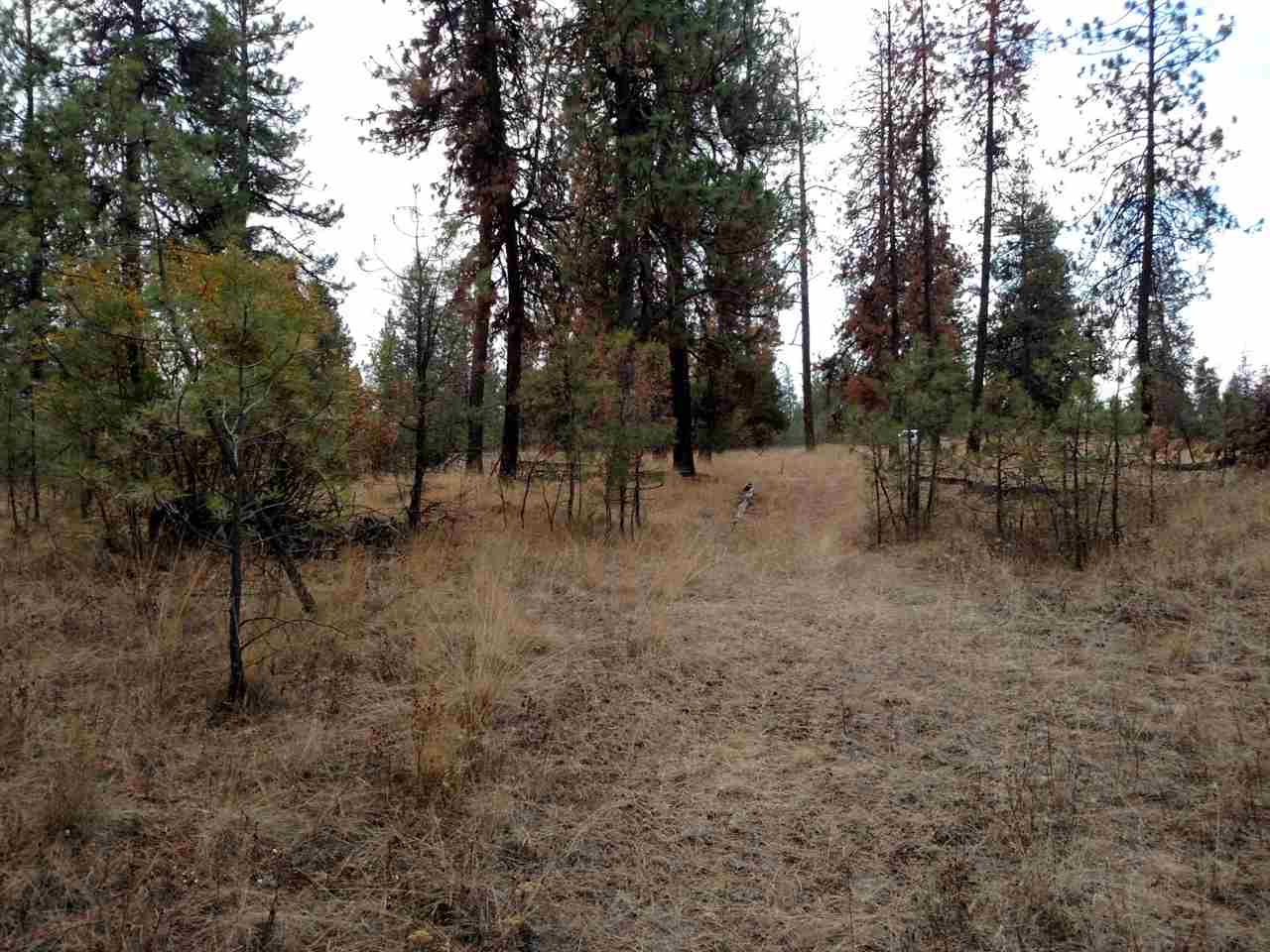 0 Salnave Road Cheney, WA 99004 - Photo 11 of 13
