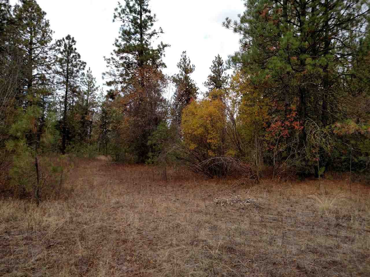 0 Salnave Road Cheney, WA 99004 - Photo 12 of 13