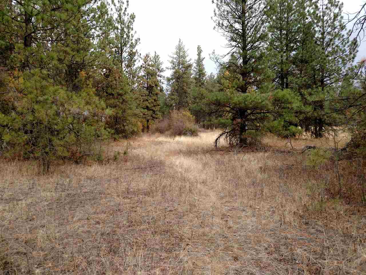 0 Salnave Road Cheney, WA 99004 - Photo 13 of 13
