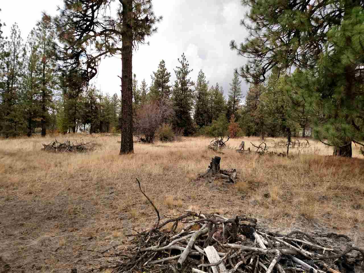 0 Salnave Road Cheney, WA 99004 - Photo 4 of 13