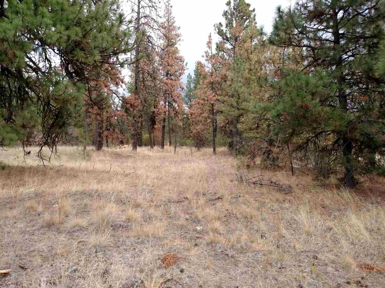 0 Salnave Road Cheney, WA 99004 - Photo 5 of 13