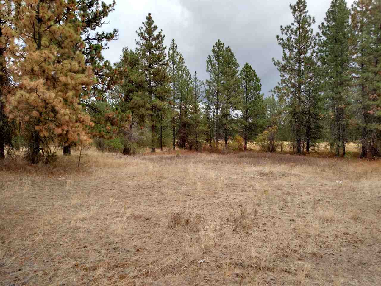 0 Salnave Road Cheney, WA 99004 - Photo 6 of 13