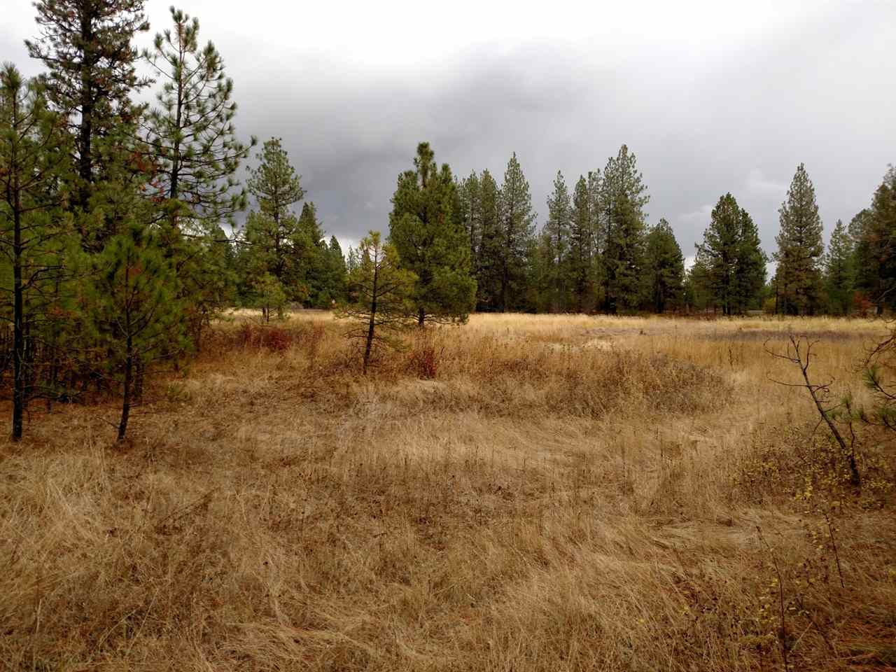 0 Salnave Road Cheney, WA 99004 - Photo 7 of 13