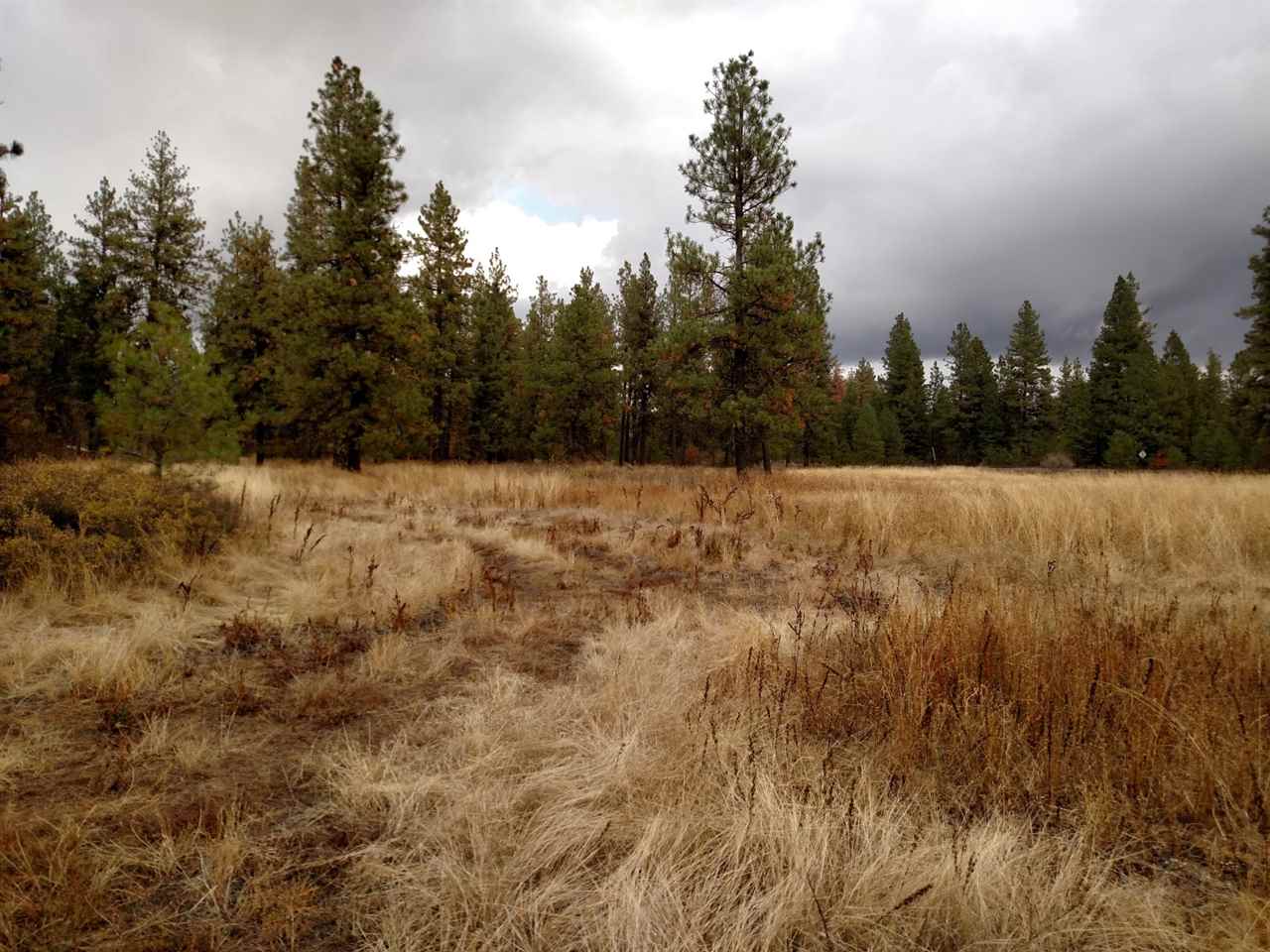 0 Salnave Road Cheney, WA 99004 - Photo 8 of 13