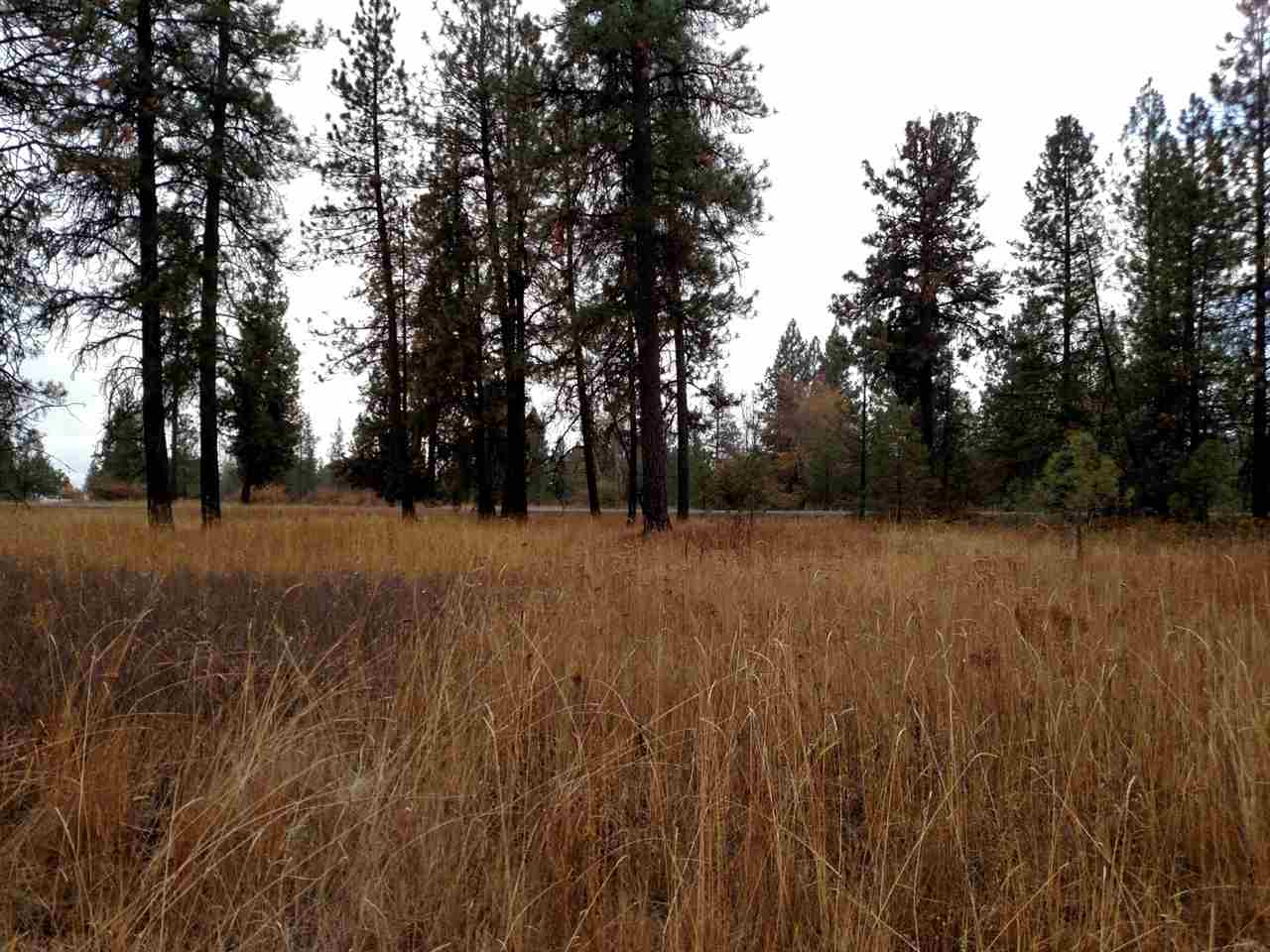 0 Salnave Road Cheney, WA 99004 - Photo 9 of 13
