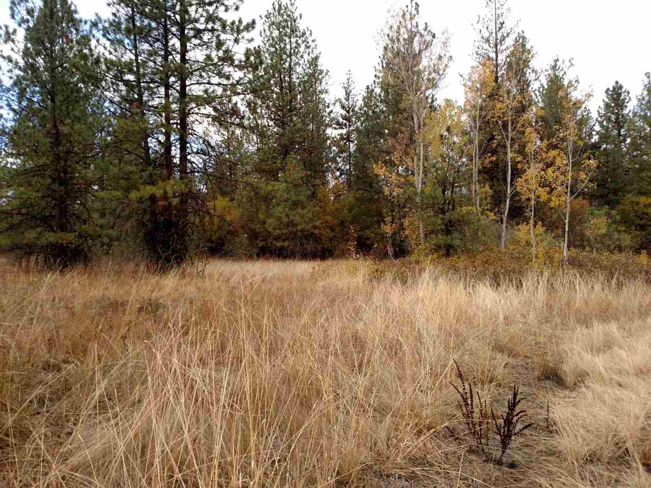 0 Salnave Road Cheney, WA 99004 - Photo 10 of 13