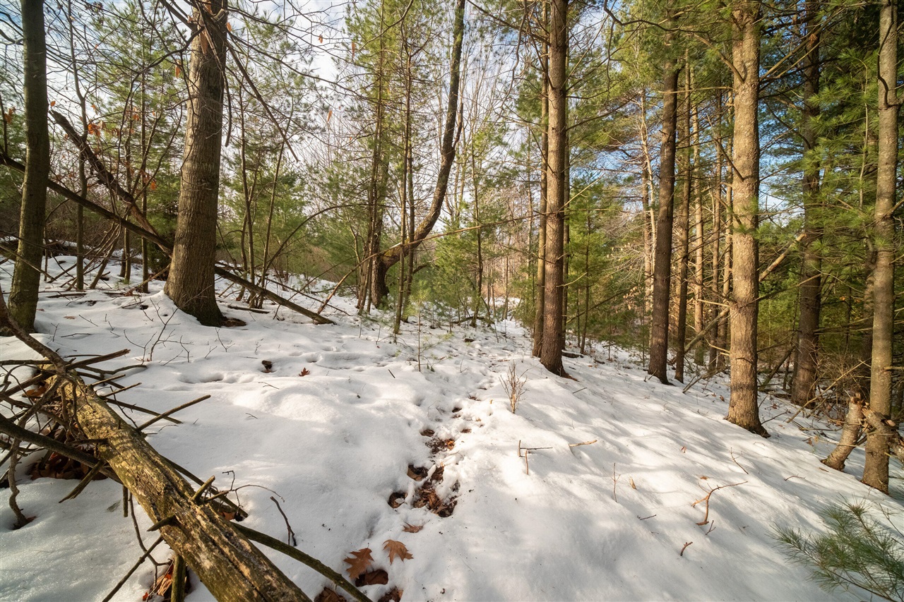 0 Erdman Road Onekama, MI 49675 - Photo 47 of 69 Gallery Image 47