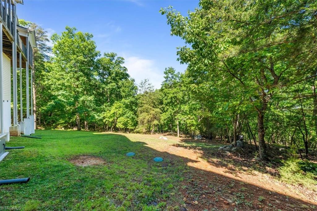 2207 Sierra Trace Road Denton, NC 27239 - Photo 43 of 49