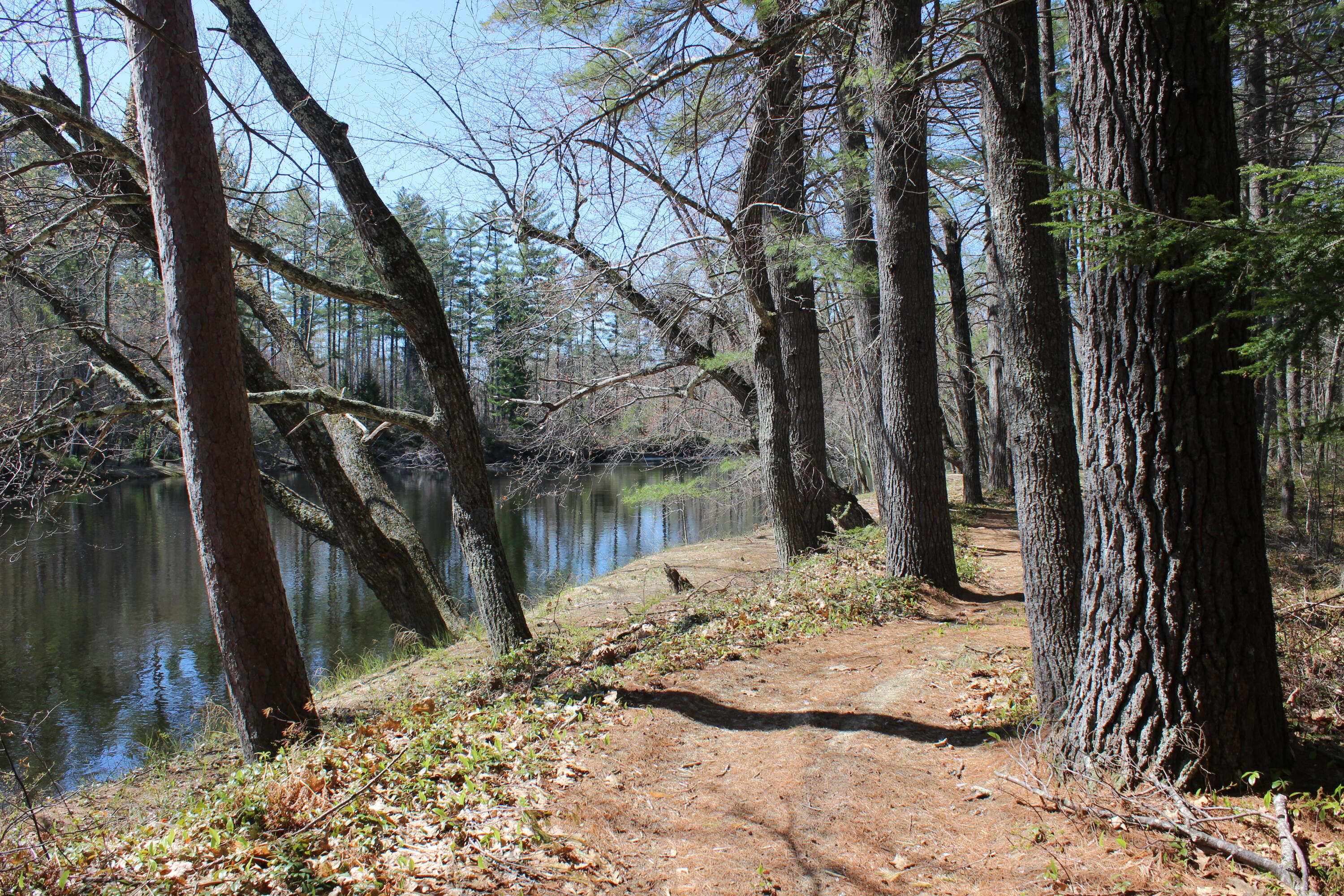 Lot19 A Riverbend Road Brownfield, ME 04010 - Photo 5 of 6 IMG_0280