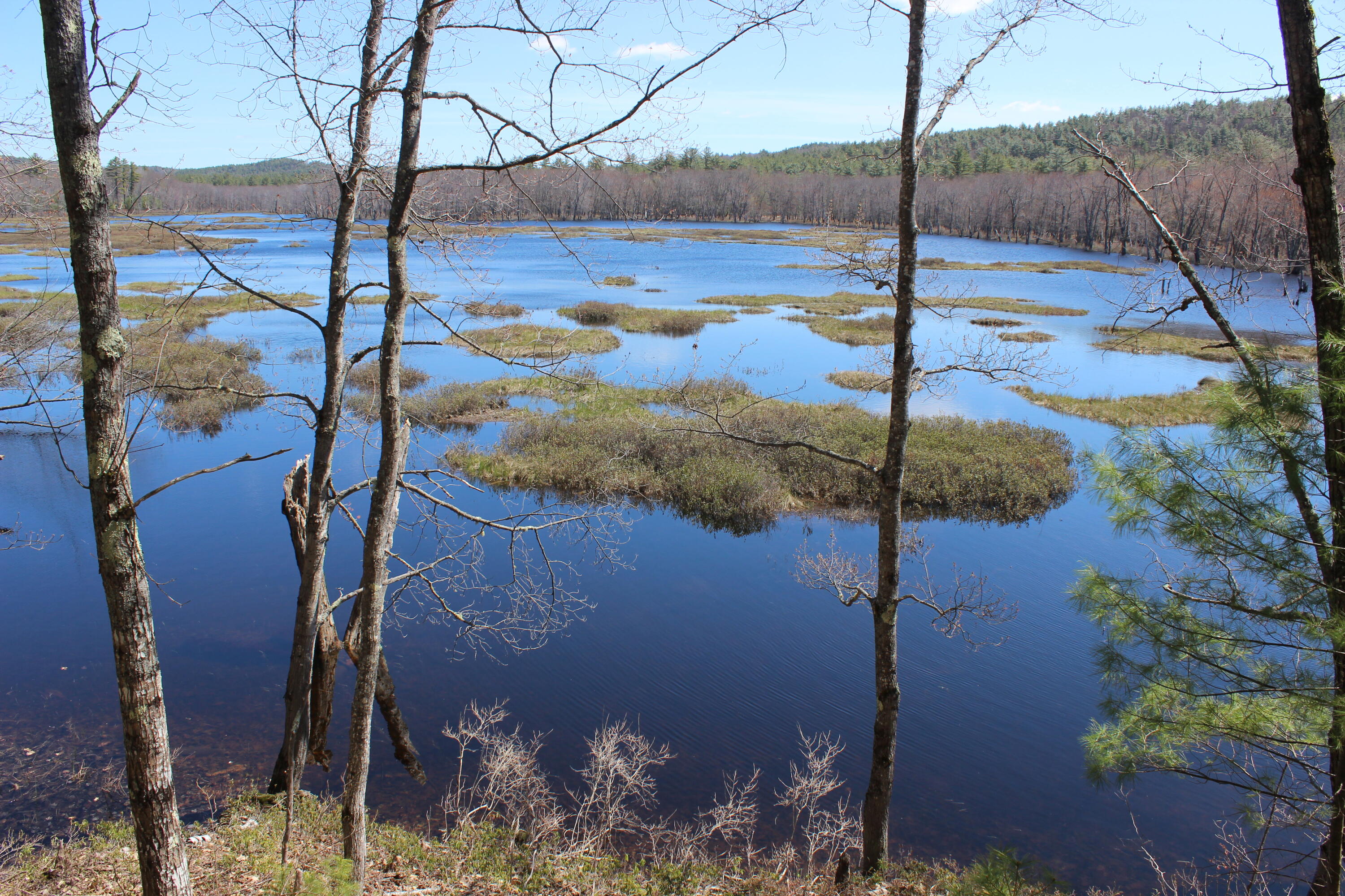 Lot19 A Riverbend Road Brownfield, ME 04010 - Photo 6 of 6 IMG_0342