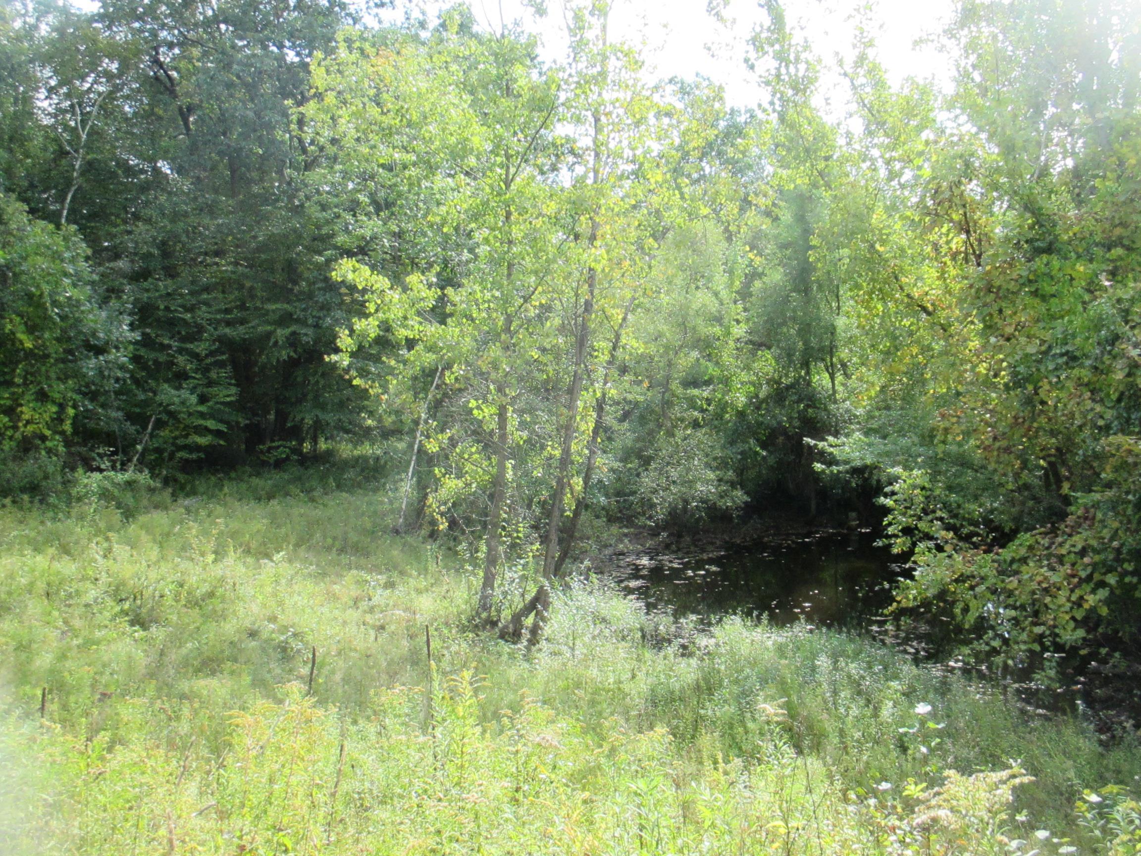 Lot 36 Bolton Road Winchester, NH 03470 - Photo 11 of 22