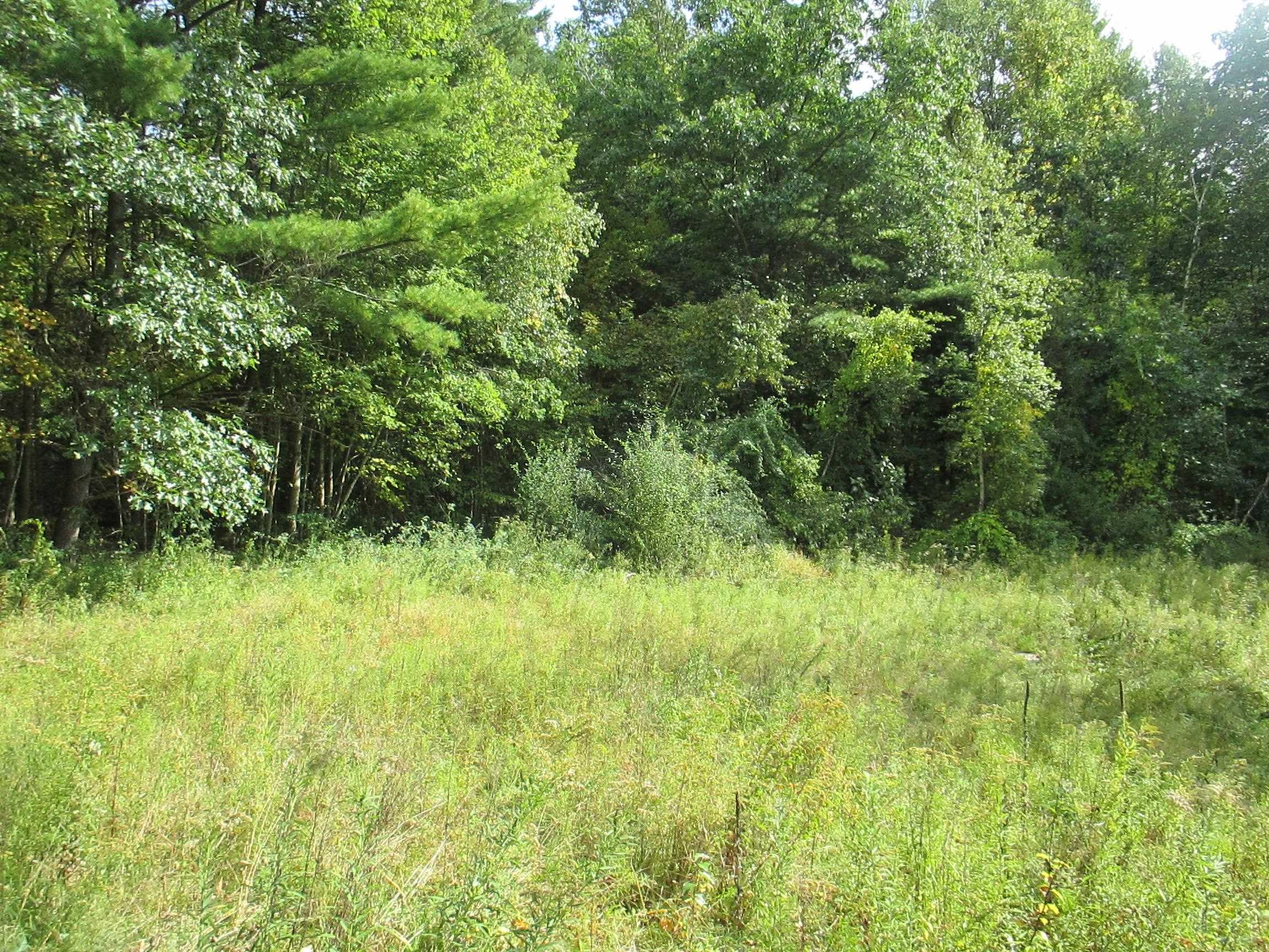 Lot 36 Bolton Road Winchester, NH 03470 - Photo 12 of 22