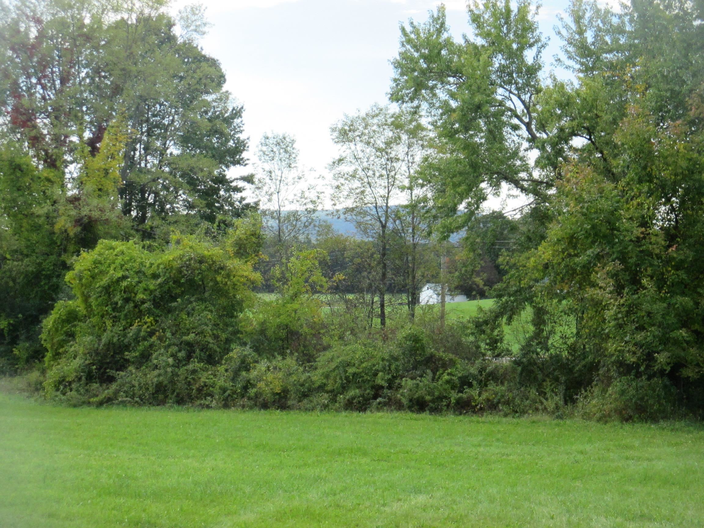 Lot 36 Bolton Road Winchester, NH 03470 - Photo 13 of 22