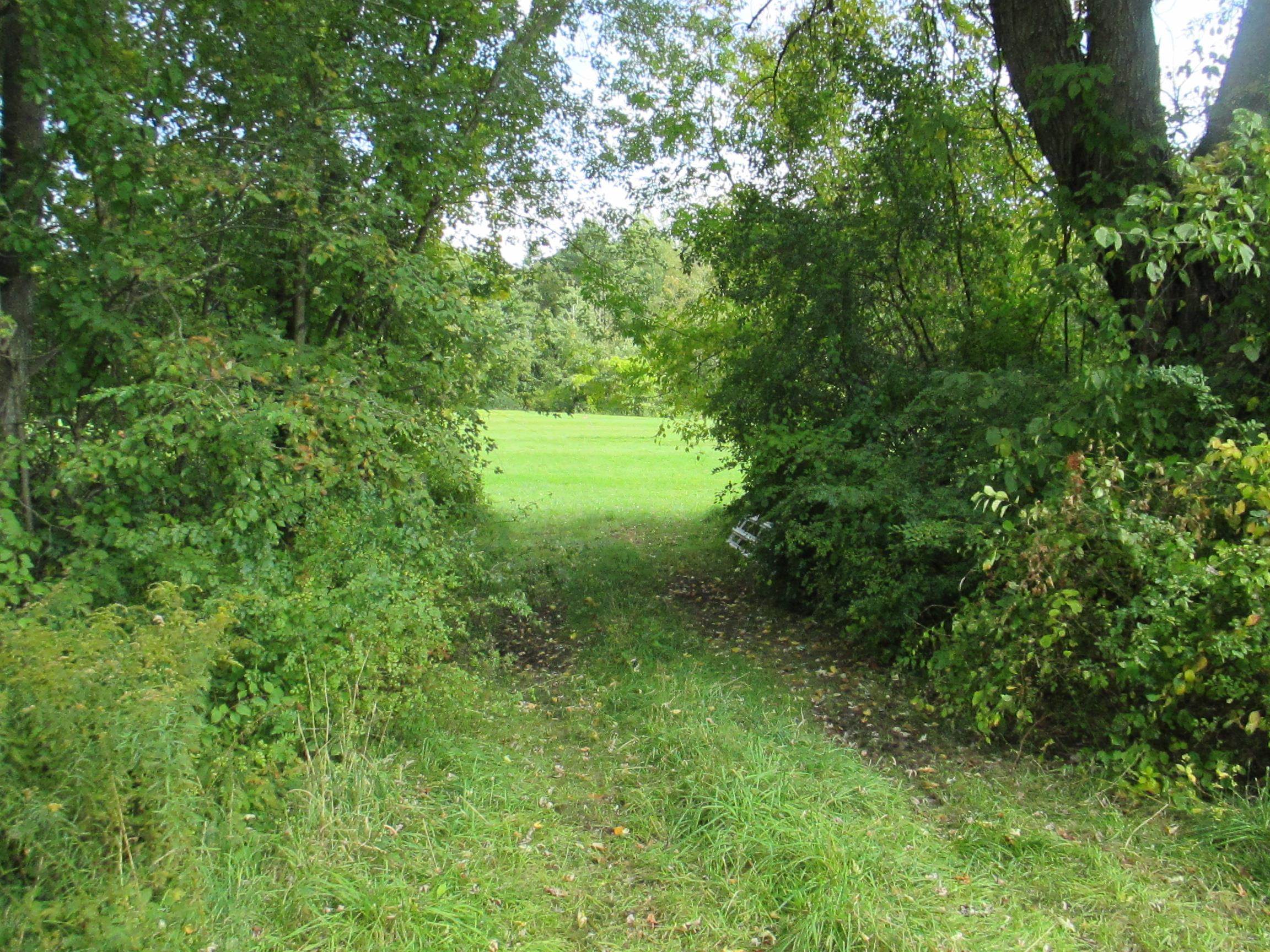 Lot 36 Bolton Road Winchester, NH 03470 - Photo 14 of 22