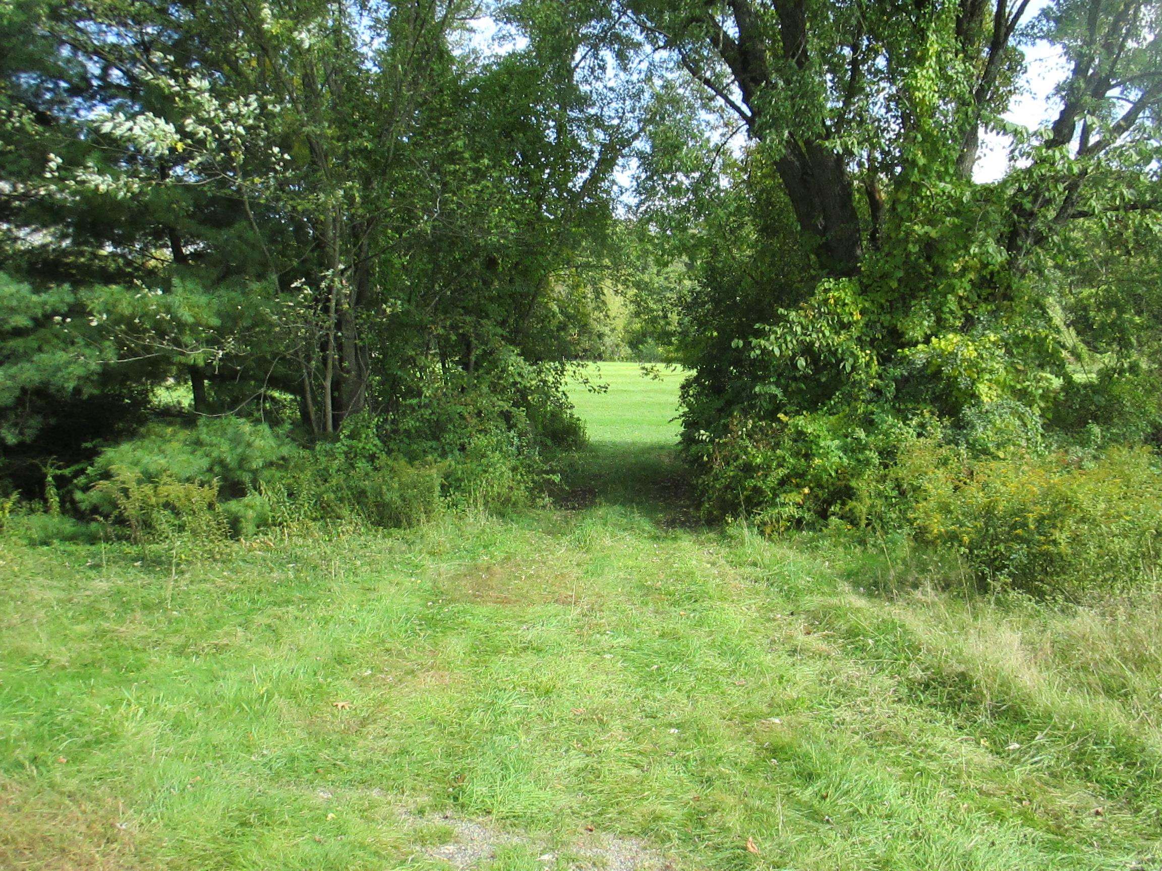 Lot 36 Bolton Road Winchester, NH 03470 - Photo 16 of 22