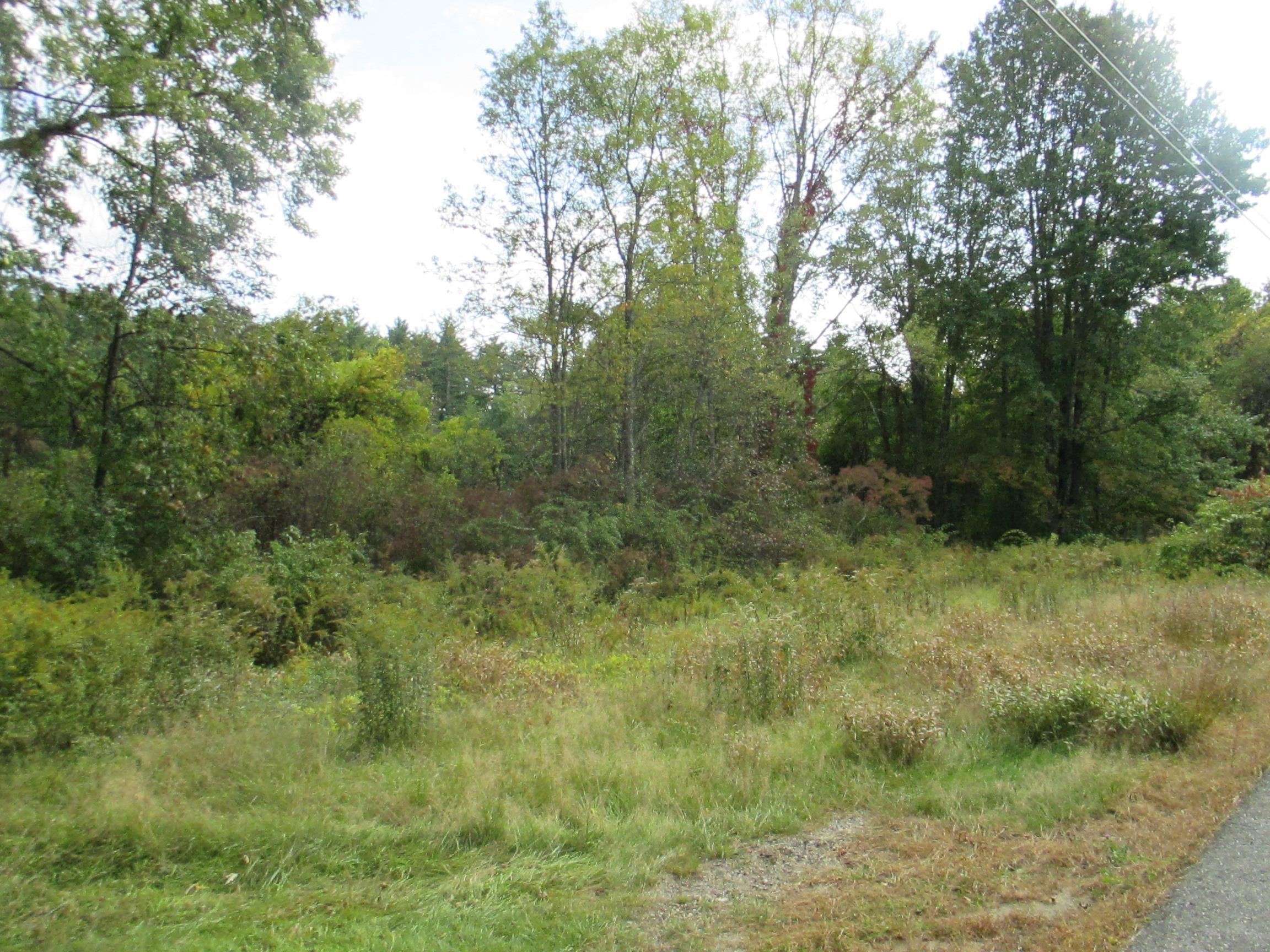 Lot 36 Bolton Road Winchester, NH 03470 - Photo 18 of 22