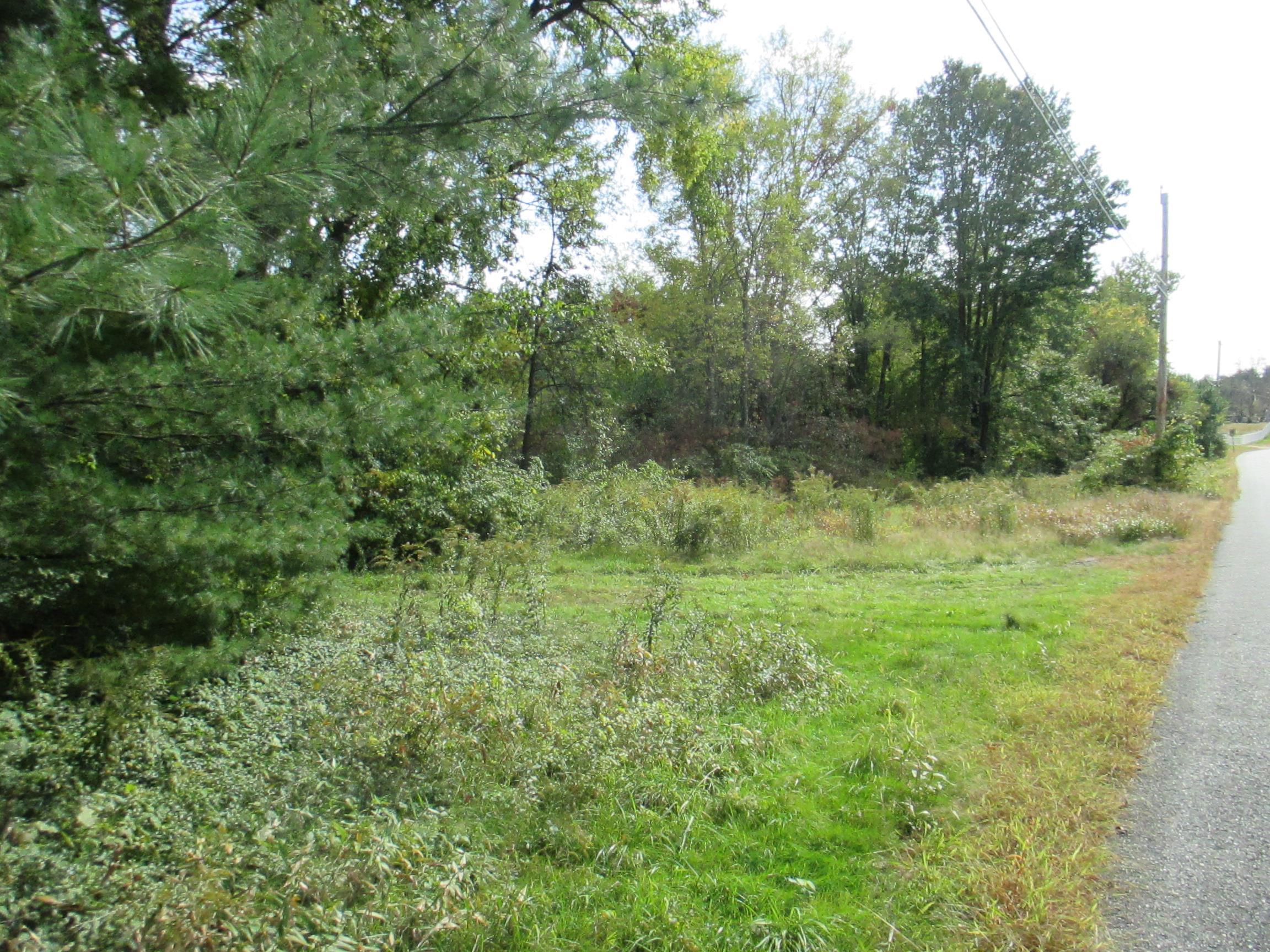 Lot 36 Bolton Road Winchester, NH 03470 - Photo 19 of 22