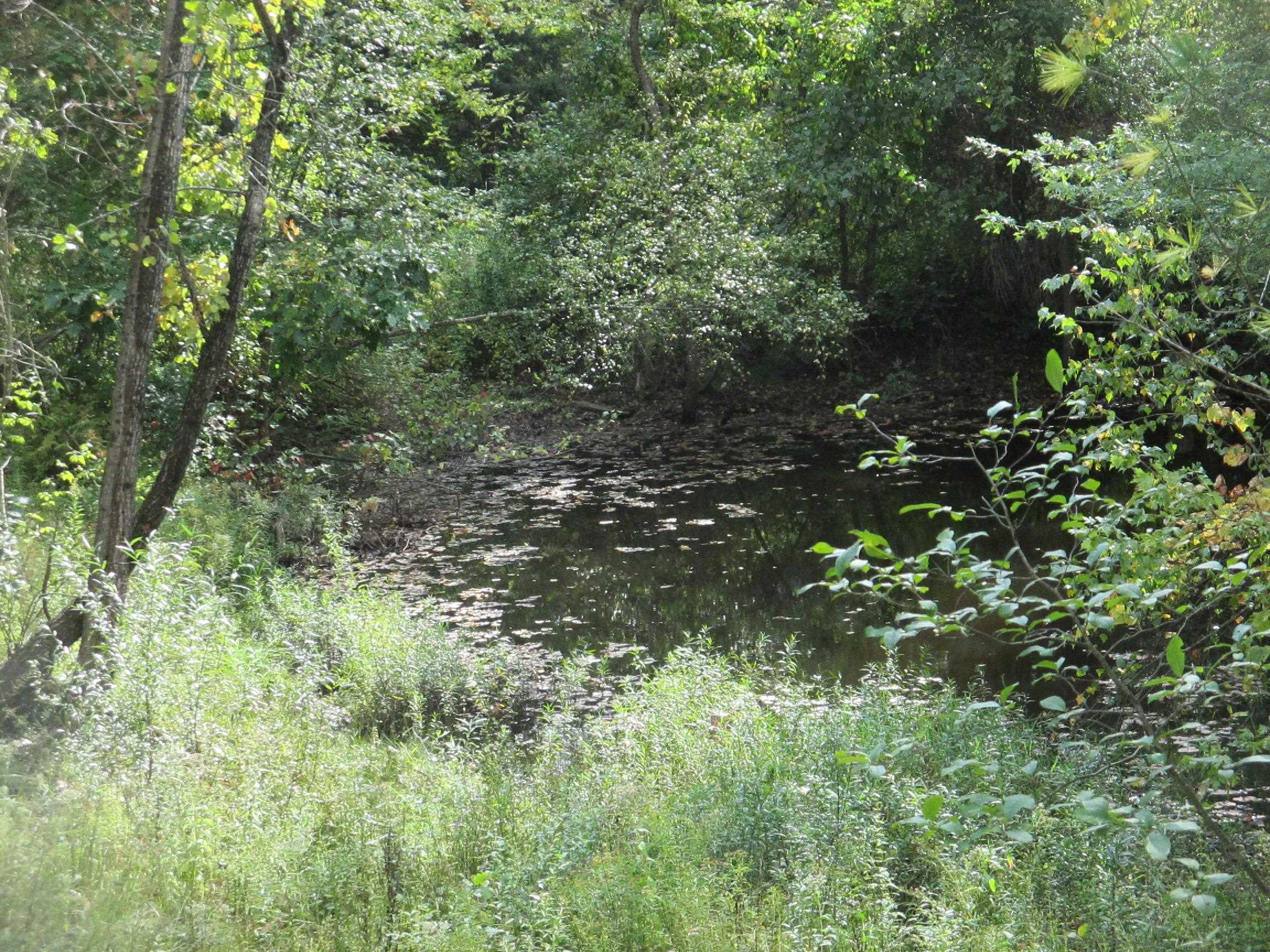 Lot 36 Bolton Road Winchester, NH 03470 - Photo 10 of 22