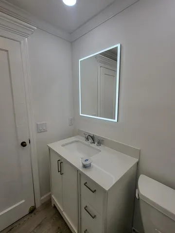 a bathroom with a sink toilet vanity and a mirror
