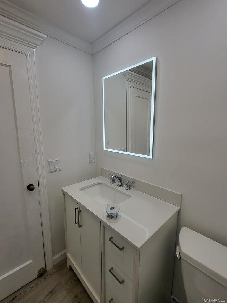 230 West Islip Road West Islip, NY 11795 - Photo 36 of 50 Bathroom with wood finished floors, toilet, vanity, and crown molding