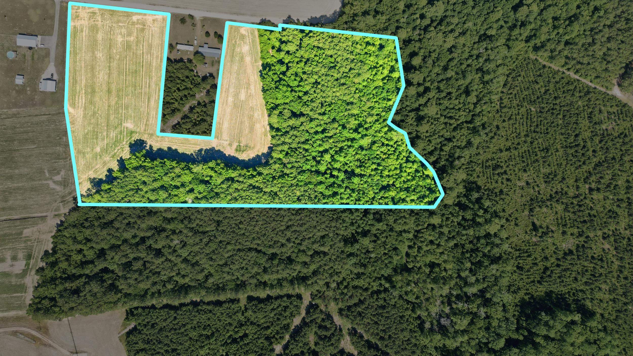 Tbd Sandyridge Road Galivants Ferry, SC 29544 - Photo 4 of 7