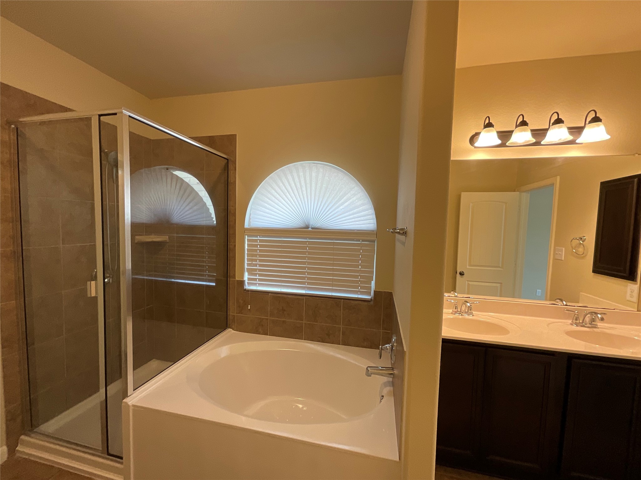1911 Conn Creek Road Cedar Park, TX 78613 - Photo 29 of 39 a bathroom with a tub sink and mirror